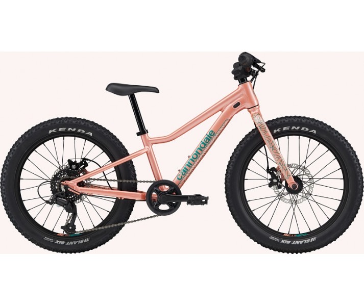 Bicicleta Cannondale Kids Trail Plus 2023