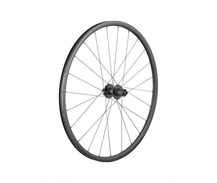 Rueda Trasera Bontrager Paradigm SL 6T 24H 700c Shimano HG