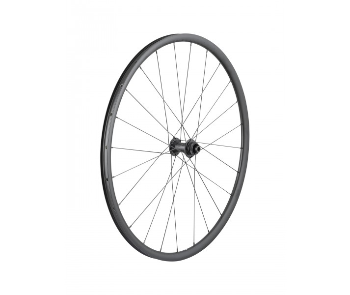 Rueda Delantera Bontrager Paradigm SL Centerlock 24H 700c