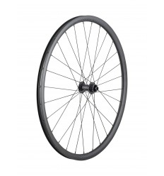 Rueda Delantera Bontrager Affinity TLR Centerlock 28H