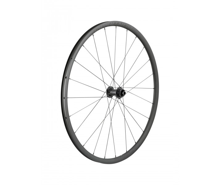 Rueda Delantera Bontrager Paradigm SL Centerlock 24H 700c Plata