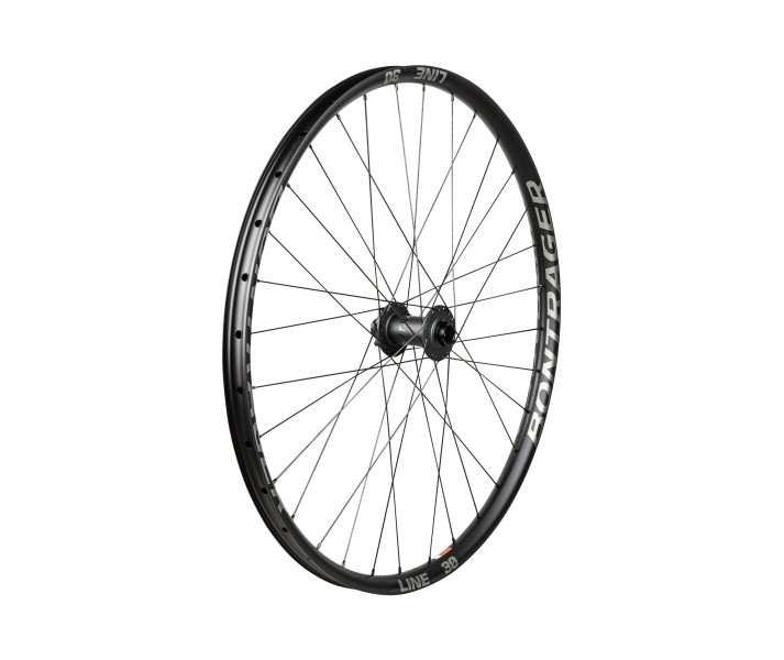 Rueda Delantera Bontrager Line DH 30 TLR 29'