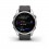 Reloj Garmin fenix® 7S  Standard Edition Gris