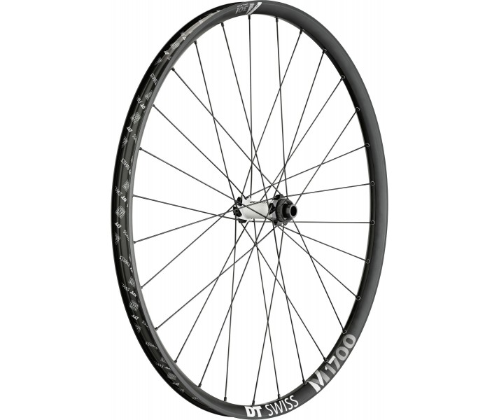 Rueda MTB Delantera DT Swiss M 1700 SP 29 CL 30 15/110