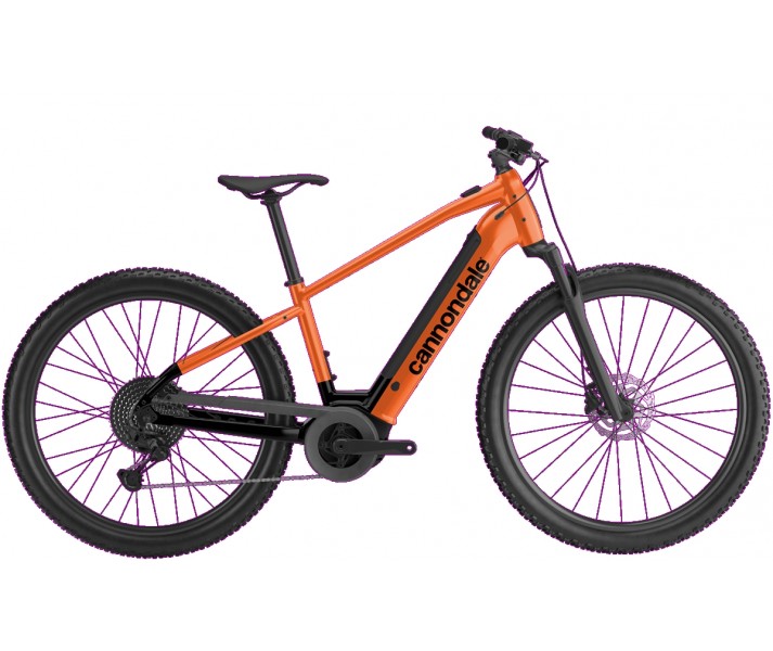 Bicicleta Eléctrica Cannondale Trail Neo 3 2024