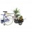 Remolque Bellelli ECO Trailer Mini Negro